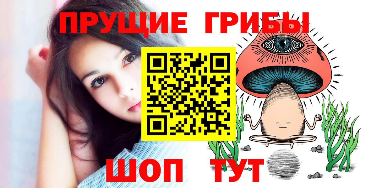 Псилоцибиновые грибы Psilocybe Ялуторовск