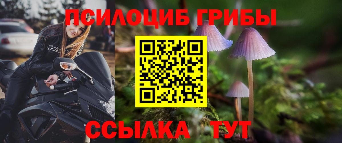 Галлюциногенные грибы Cubensis  Вход с VPN  Псилоцибиновые грибы GOLDEN TEACHER  Ялуторовск 